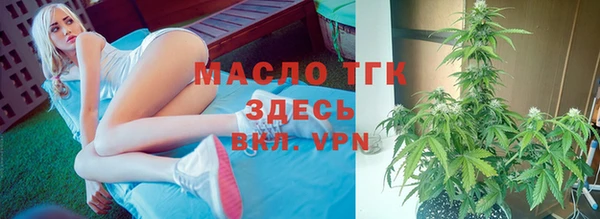 таблы Бородино
