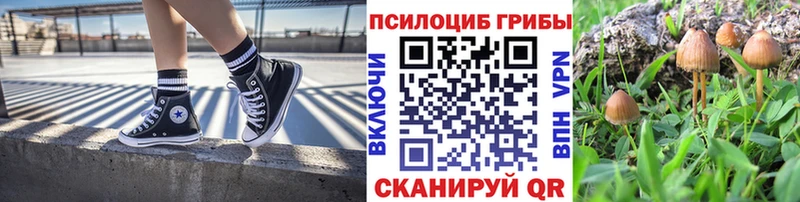Галлюциногенные грибы прущие грибы Тихорецк